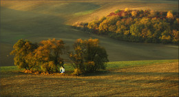 South Moravia / ***