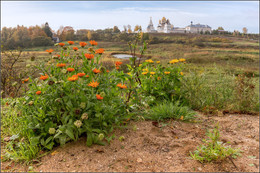 Autumn flowers / ***