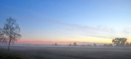 Rustic morning / ***