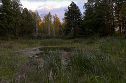 Alenushkino Lake / ***