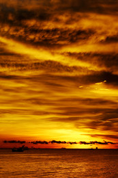 Fiery sunset / ***