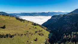 Licht und Schatten / ---