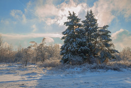 Winter # 2 / ***