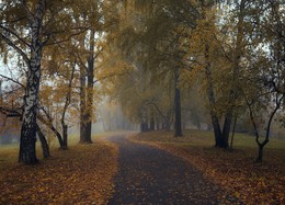 Autumn in the park. / ***