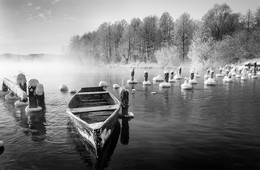 Morning on the lake. / ***