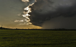 Cyclone / ***