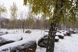 Autumn dream / .....