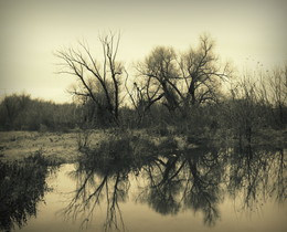 Autumn dream / ***