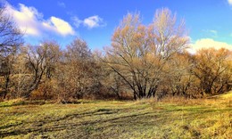 Autumn dream / ***