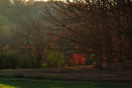 Autumn dream / ***