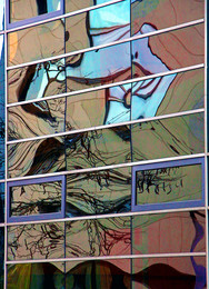 &nbsp; / ***