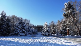 Winter morning... / ***