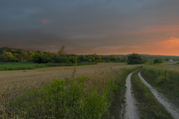 road in a field / ***