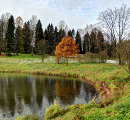 Autumn / ***