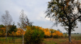 Paints October / ***