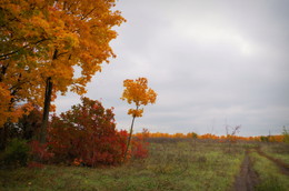 At the road / ***