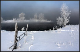 Cold coast / ***