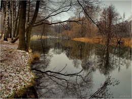 Autumn reflections / ***