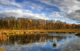 Freezing Pond / ***