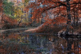 Autumn / ***