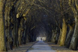 Evening Promenade / ***