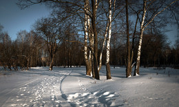 Winter landscape / ***