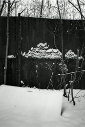 Landscape / ***