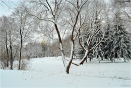 After snowfall / ***