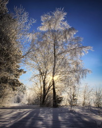 Winter dawn / ***