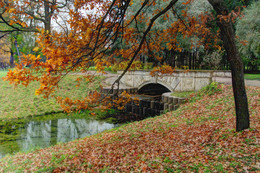 in the park / ***