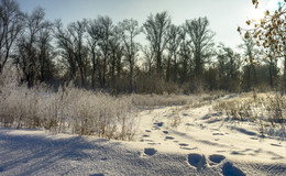 Footprints in the snow / ***