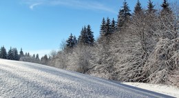 On the slopes / ***