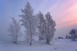 Frosty dawn. / ***