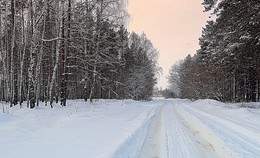 Winter road / ***