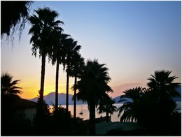 Remembering summer / ***