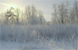 Frost / ***