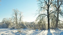 Hibernation / ***