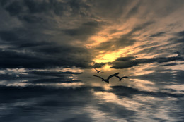 Parallel World / ***