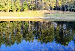 Parallel World / ***