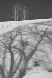 Shadows / ***