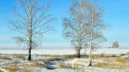 Zimushka - Winter / ***