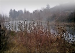 Misty autumn / ***