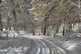 Winter Roads / ***