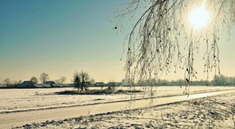 Freeze / ***