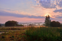 Rustic morning / ***