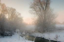 Pink morning / ***