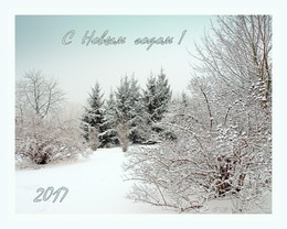 Holiday greetings! / ***