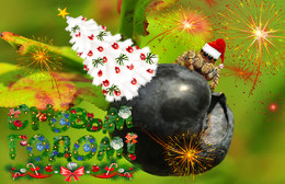 Happy New Year! / ***