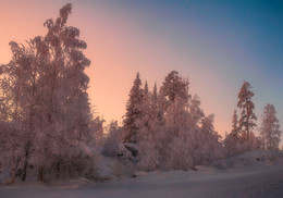 Pink Evening / ***