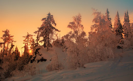 The last ray of sunset / ***